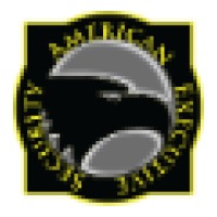 American Executive Security logo - Similar company to Personal Protection Professionals