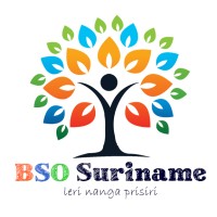 BSO Suriname logo - Similar company to Bso Nijmegen