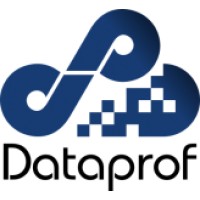 Dataprof Oy logo - Similar company to Dataprof.Io