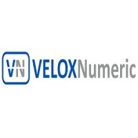 Veloxnumeric SA logo - Similar company to Saphir Group Networks