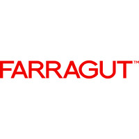 Farragut Systems, Inc. logo - Similar company to Vizualytic Data Solution