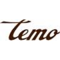 Temo Consulting logo - Similar company to Temo Digital