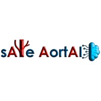 SafeAorta logo - Similar company to Cloudstraight