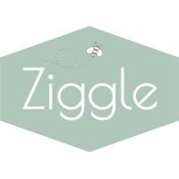 Ziggle logo - Similar company to Waltneys
