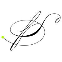 SeFin logo - Similar company to Bigdata Cyber Security Services