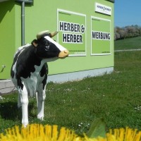 Herber & Herber
