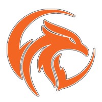 Phoenix Beach Volleyball logo - Similar company to Lisa Schuss