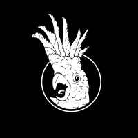 Curve Cycling logo - Similar company to Dotwatcher