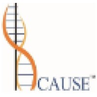 BCAUSE . logo - Similar company to Motion Imager