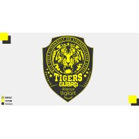 TIGER GUARD SECURITY SERVICES LLC logo - Similar company to Tiger Security