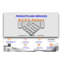 MERG PARTNERS logo - Similar company to Action Through Enterprise