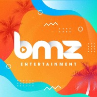 BMZ logo - Similar company to Dicom Interactive