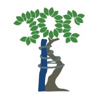 Jefferson Orthopedic Clinic logo - Similar company to Hmr Servicing, Llc