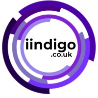 iindigo logo - Similar company to Rail Geospatial