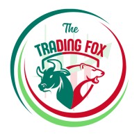 The Trading Fox logo - Similar company to Eysoft It Solution