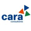 Cara Consultores logo - Similar company to Boro Foods