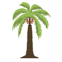 Arabian dates in bulk logo - Similar company to Dates & Dallah