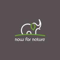now for nature logo - Similar company to Insivio It Gmbh