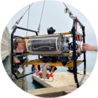 The Autonomous Robotic Vehicle Project (ARVP), University of Alberta logo - Similar company to Robosub