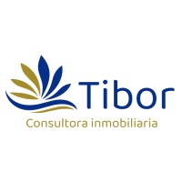 Tibor Consultora logo - Similar company to Asedesa