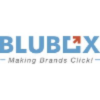 BLUBOX logo - Similar company to Excellor