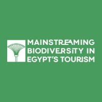MBDT Egypt logo - Similar company to Art Mood