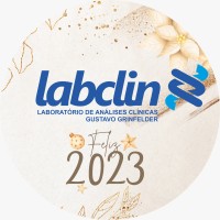 Labclin - Laboratório de Analises Clínicas logo - Similar company to Hemotest Laboratório De Análises Clinicas