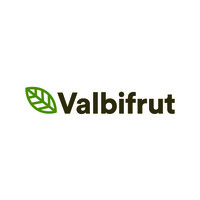 Valbifrut S.A. logo - Similar company to Frutexsa Raisins