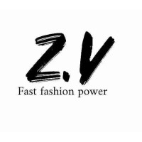 Z.V. GROUP logo - Similar company to Accentcom