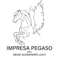 Impresa Pegaso Srl logo - Similar company to Rat S.R.L.