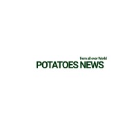 Potatoes News (Khmer Language) logo - Similar company to Khmer Language Group