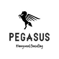 Pegasus Consulting logo - Similar company to Pegasus Consulting, Llc
