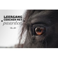 Leergang coachen met paarden logo - Similar company to Fleur Presents