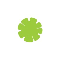 Flowermind logo - Similar company to D9Tech Resources Llc