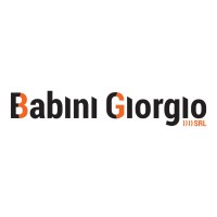 Babini Giorgio Srl logo - Similar company to Armi Technologies