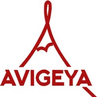 Avigeya logo - Similar company to Saneg Elements