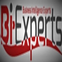 Business Intelligence Experts Ltd logo - Similar company to Chb Technologies