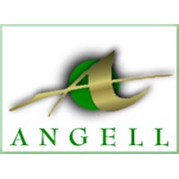 The Angell Pension Group logo - Similar company to Tennessee Pension Administrators