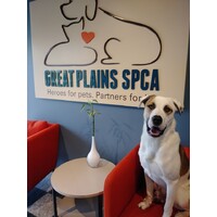 Great Plains SPCA logo - Similar company to Kc Pet Project