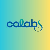 ColabS - UFSC logo - Similar company to Salutho