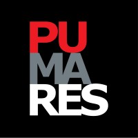 PUMARES Comunicación Corporativa logo - Similar company to Blum Digital Pr | Consultora En Ia Y Data Para Relaciones Públicas