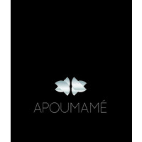 Apoumamé Consulting logo - Similar company to Invi Ivf