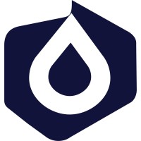 Pinnacle Shield logo - Similar company to Yellowbrix