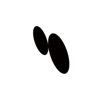 The Double Eye logo - Similar company to Double Eye Consulting