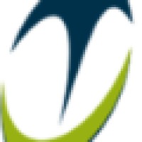 Junior Trevisan Consultores