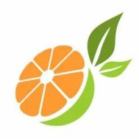 Orange Softech Solutions logo - Similar company to Idevify Solutions Pvt Ltd