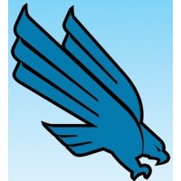 Blue Eagle General Contracting Establishment logo - Similar company to Paratex Roofing & Construction