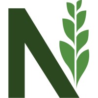 Newscape logo - Similar company to Quadmatics
