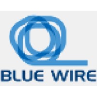 Blue Wire logo - Similar company to Nion