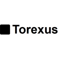 Torexus Consulting logo - Similar company to Terracall
